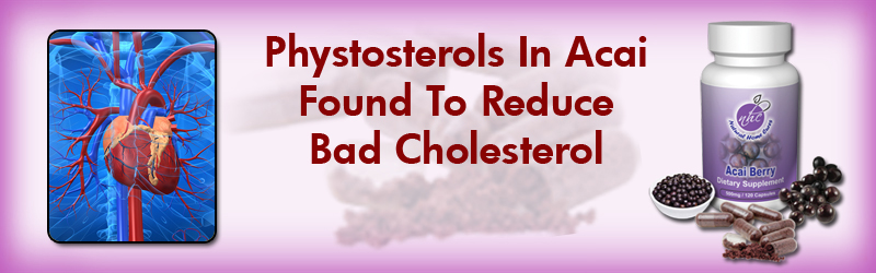 Natural Home Cures Freeze Dried Acai Berry May Help In Reversing High Cholesterol